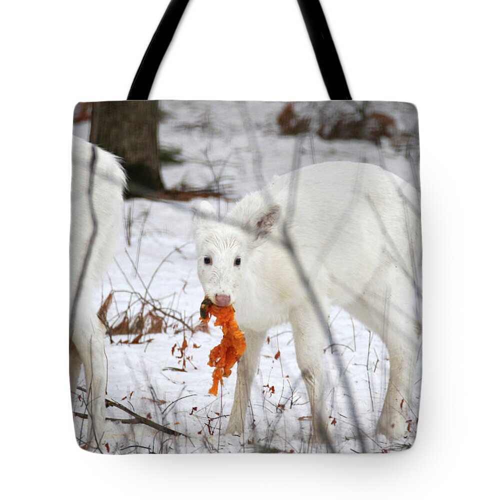 White Tote Bag featuring the photograph White Deer With Squash 5 by Brook Burling