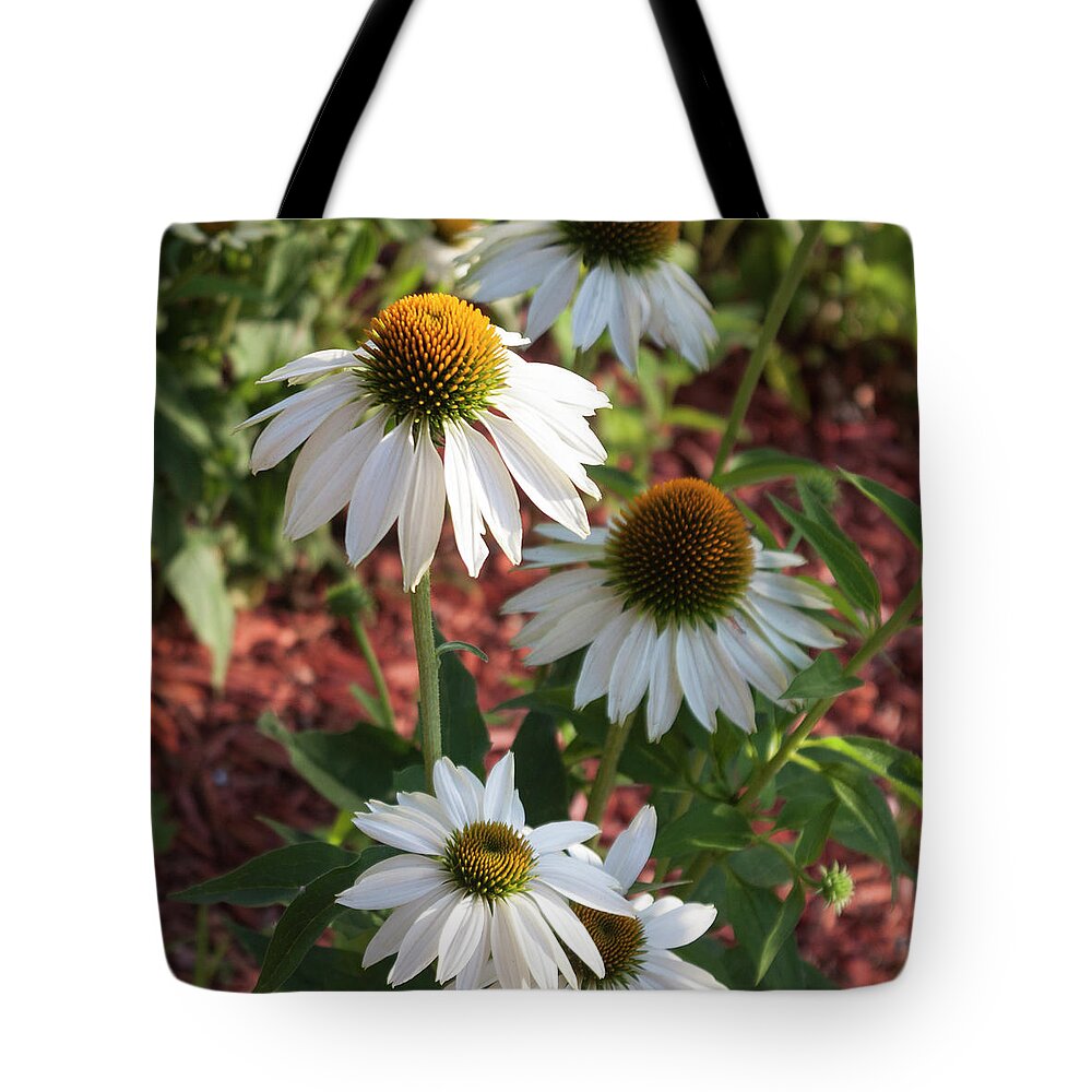 Photograph Tote Bag featuring the photograph White Echinacea in Pastel by Suzanne Gaff