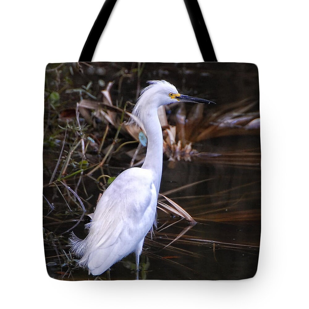 White Egret Tote Bag featuring the photograph White Egret in Florida pond by Peg Runyan