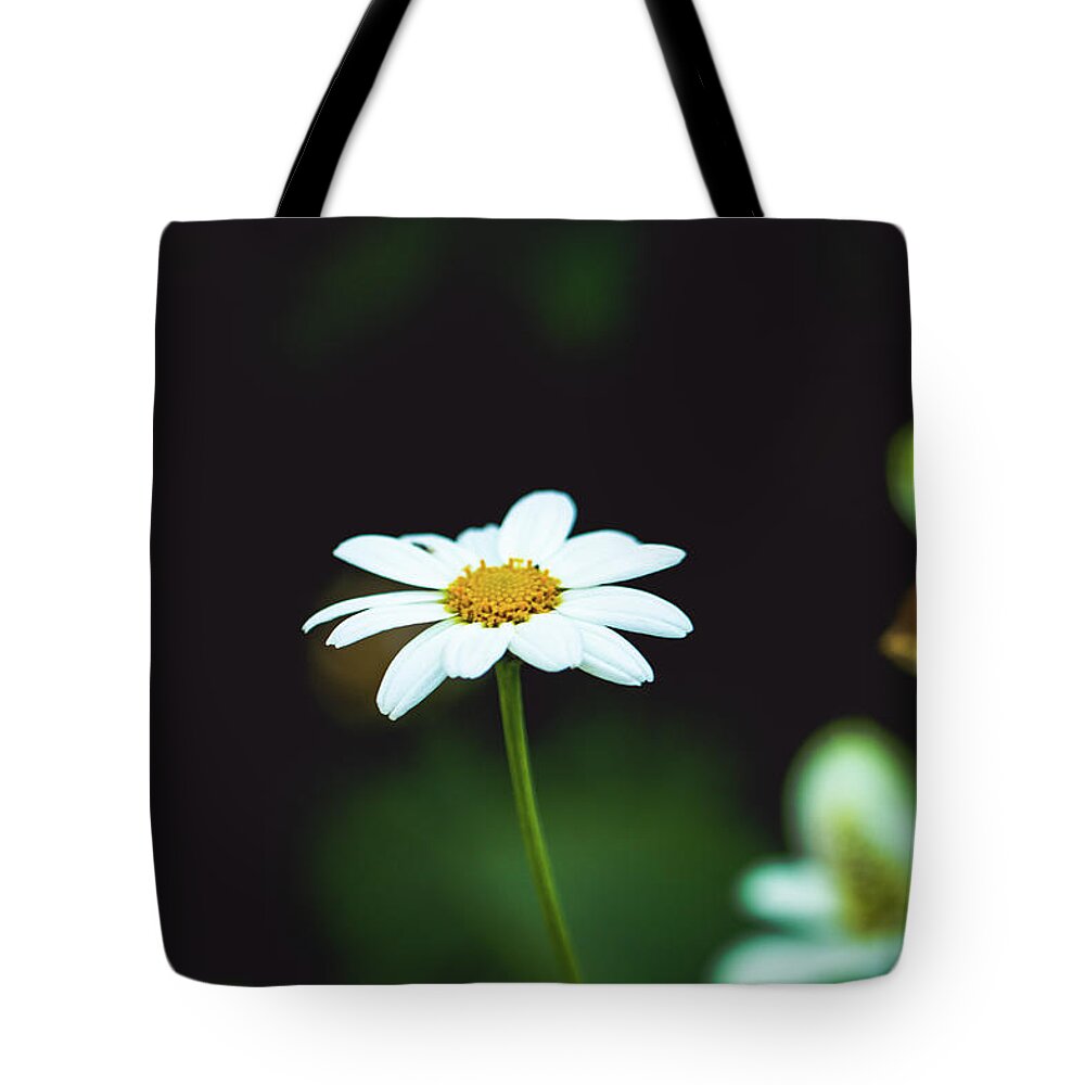 Flower Tote Bag featuring the photograph White Flower by Hyuntae Kim