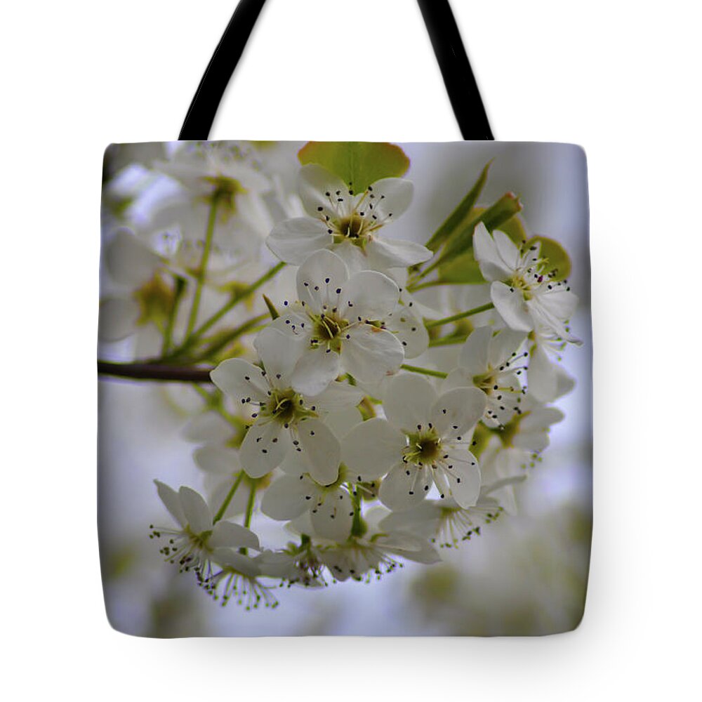 White Tote Bag featuring the photograph White Flowers on a Tree by Bill Cannon