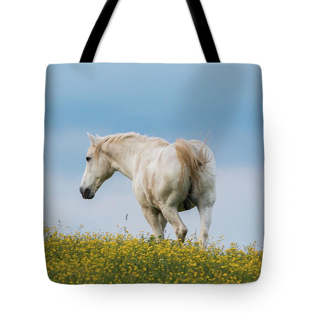 Horse Tote Bag featuring the photograph White Horse of Cataloochee Ranch - May 30 2017 by D K Wall