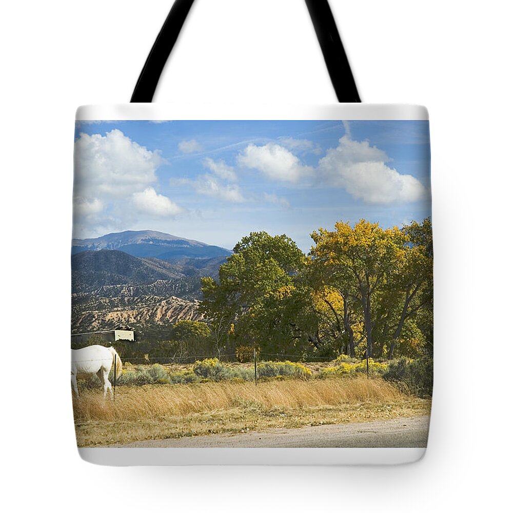  Tote Bag featuring the photograph White Horse by R Thomas Berner