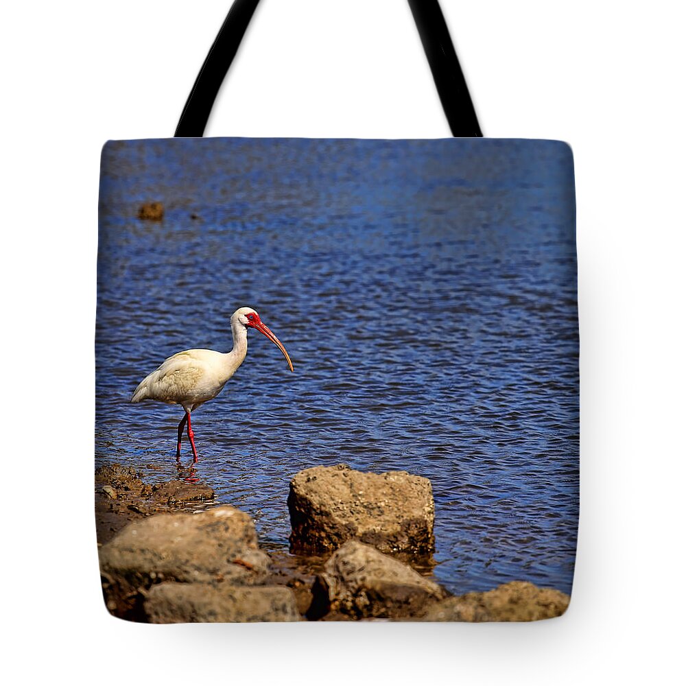 White Ibis Tote Bag featuring the photograph White Ibis by Judy Vincent