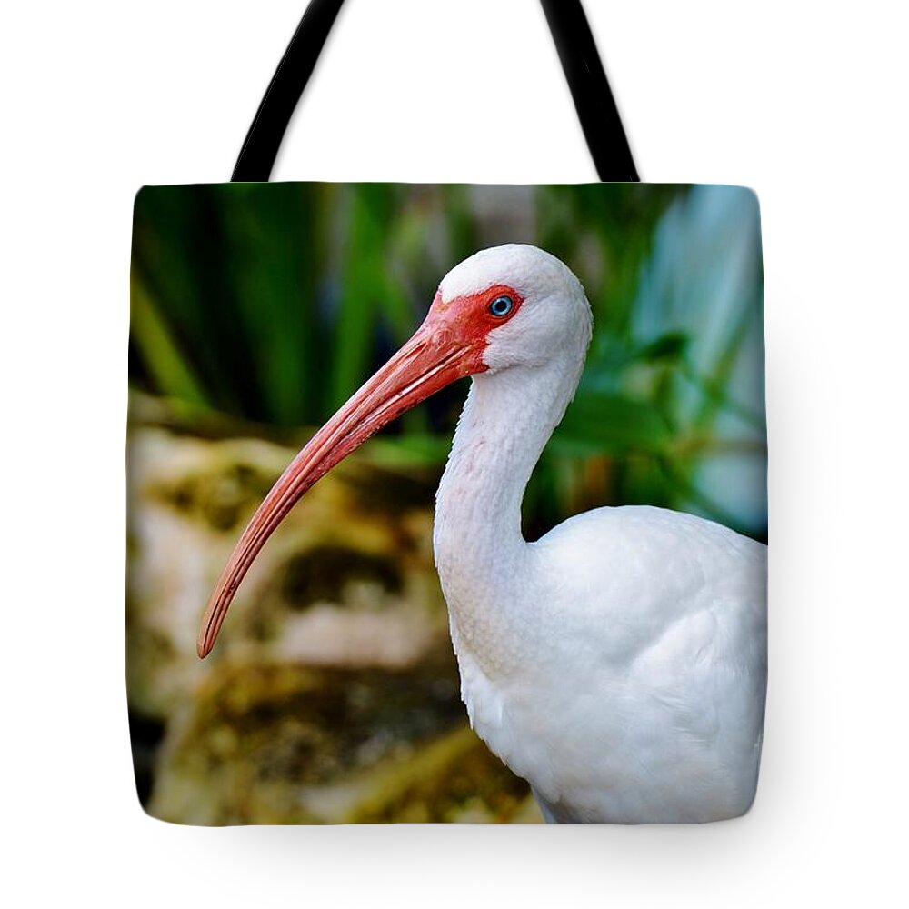 White Ibis Tote Bag featuring the photograph White Ibis by Julie Adair