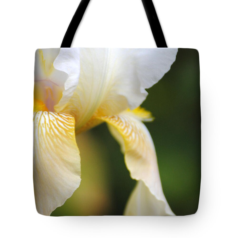 Iris Tote Bag featuring the photograph White Iris I by Jai Johnson