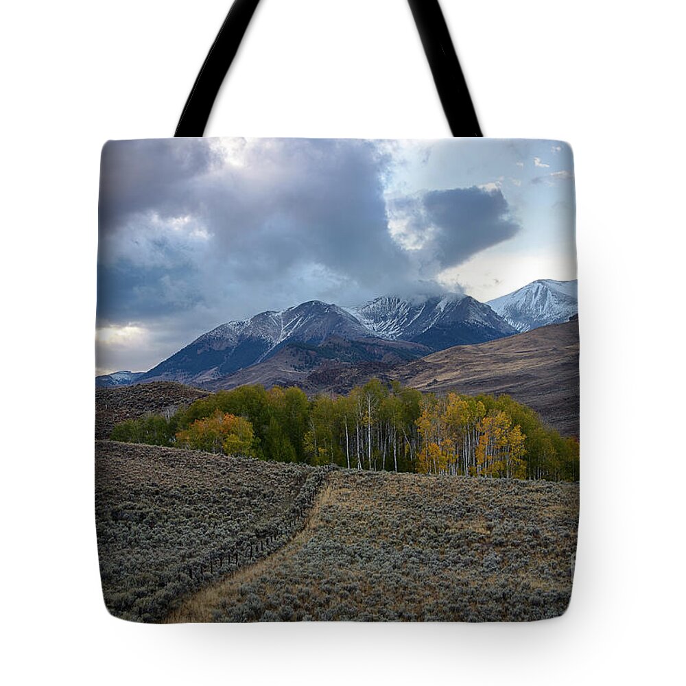 Central Idaho Tote Bag featuring the photograph White Knob Mountains by Idaho Scenic Images Linda Lantzy