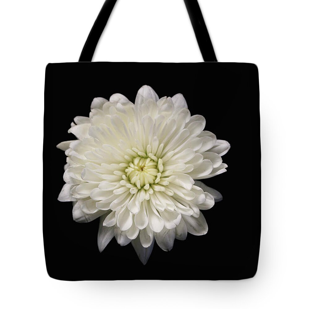  Flowers Tote Bag featuring the photograph White by Krisjan Krafchak