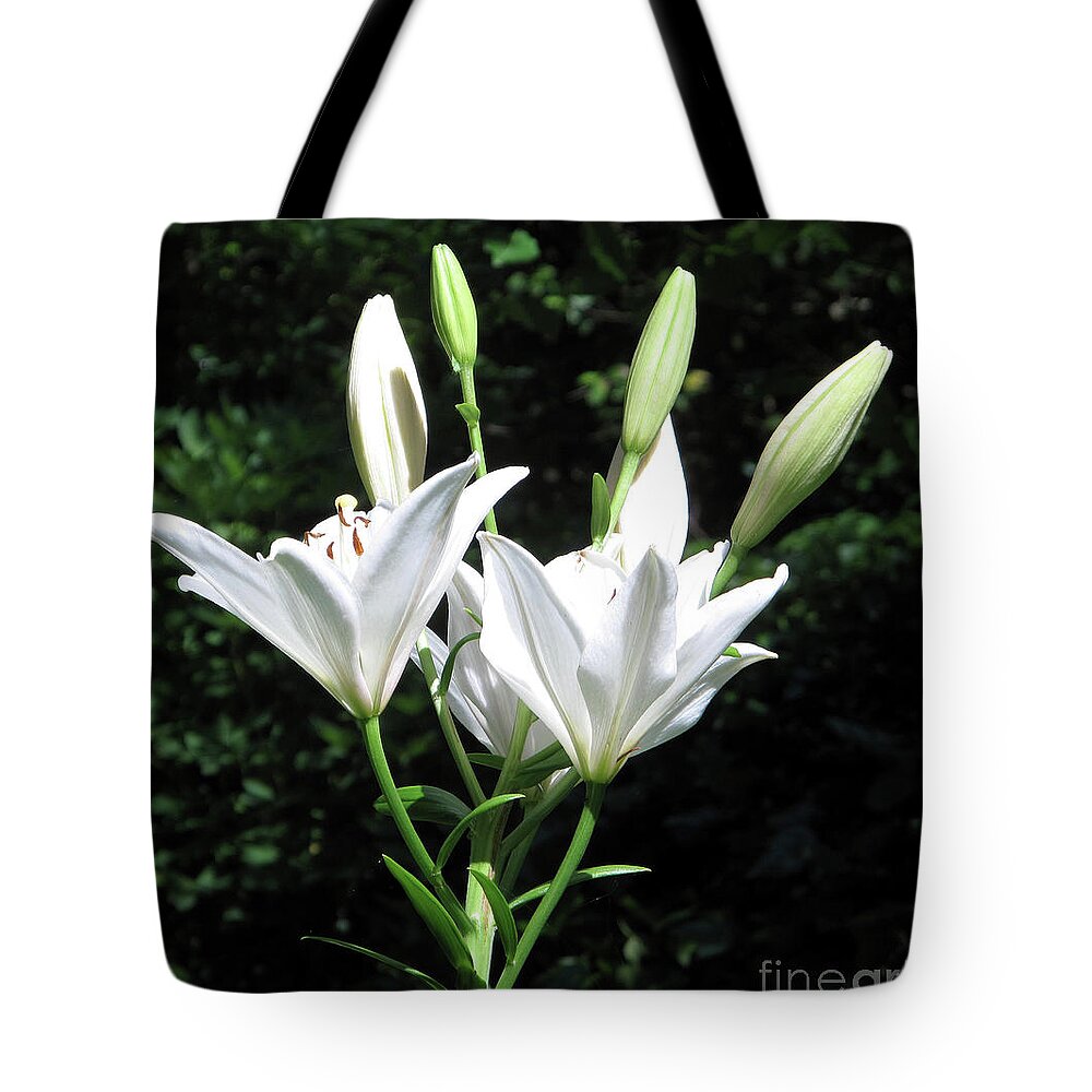 Lily Tote Bag featuring the painting White Lilies, West Virginia by Sandy McIntire
