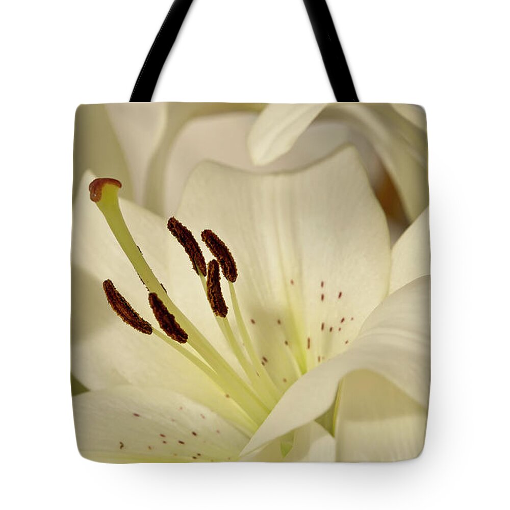 Lily Tote Bag featuring the photograph White Lily 3 by Elena Perelman