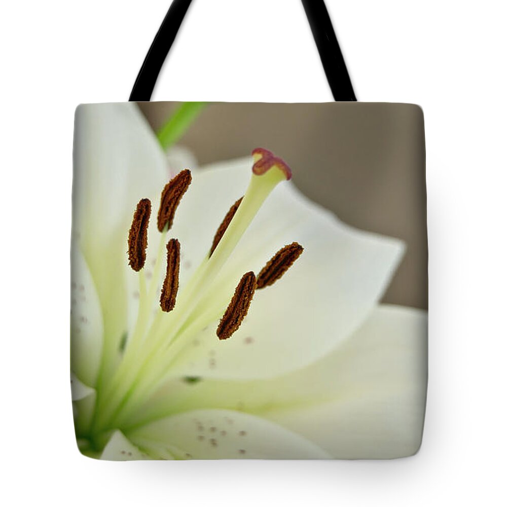 Trinity Tote Bag featuring the photograph White Lily 4 by Elena Perelman