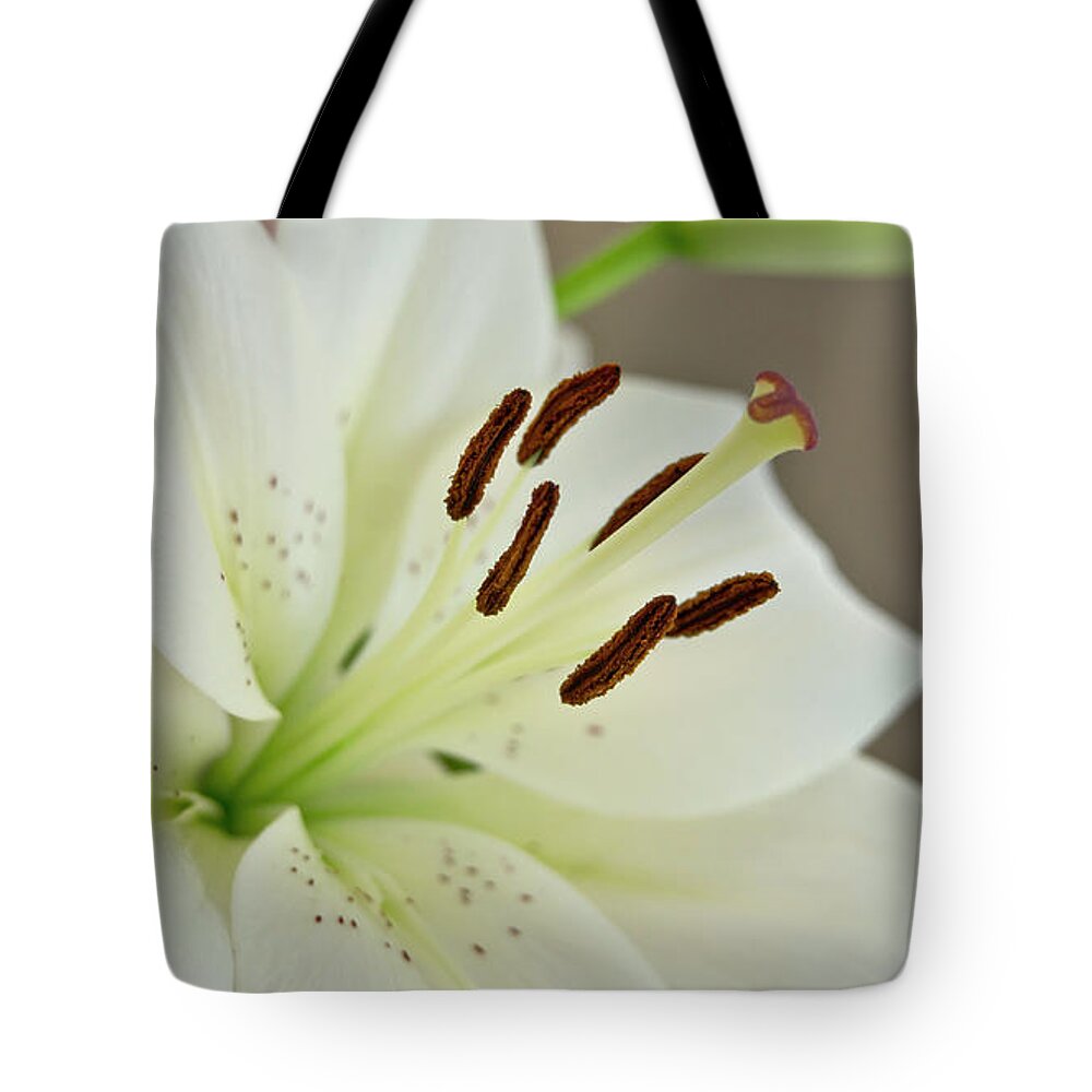 Humility Tote Bag featuring the photograph White Lily 5 by Elena Perelman