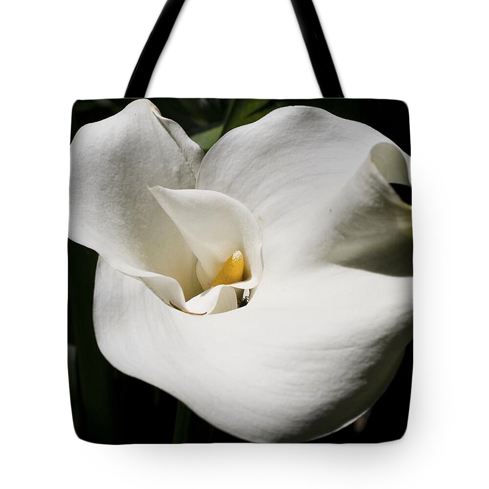 Granger Photography Tote Bag featuring the photograph White Lily by Brad Granger