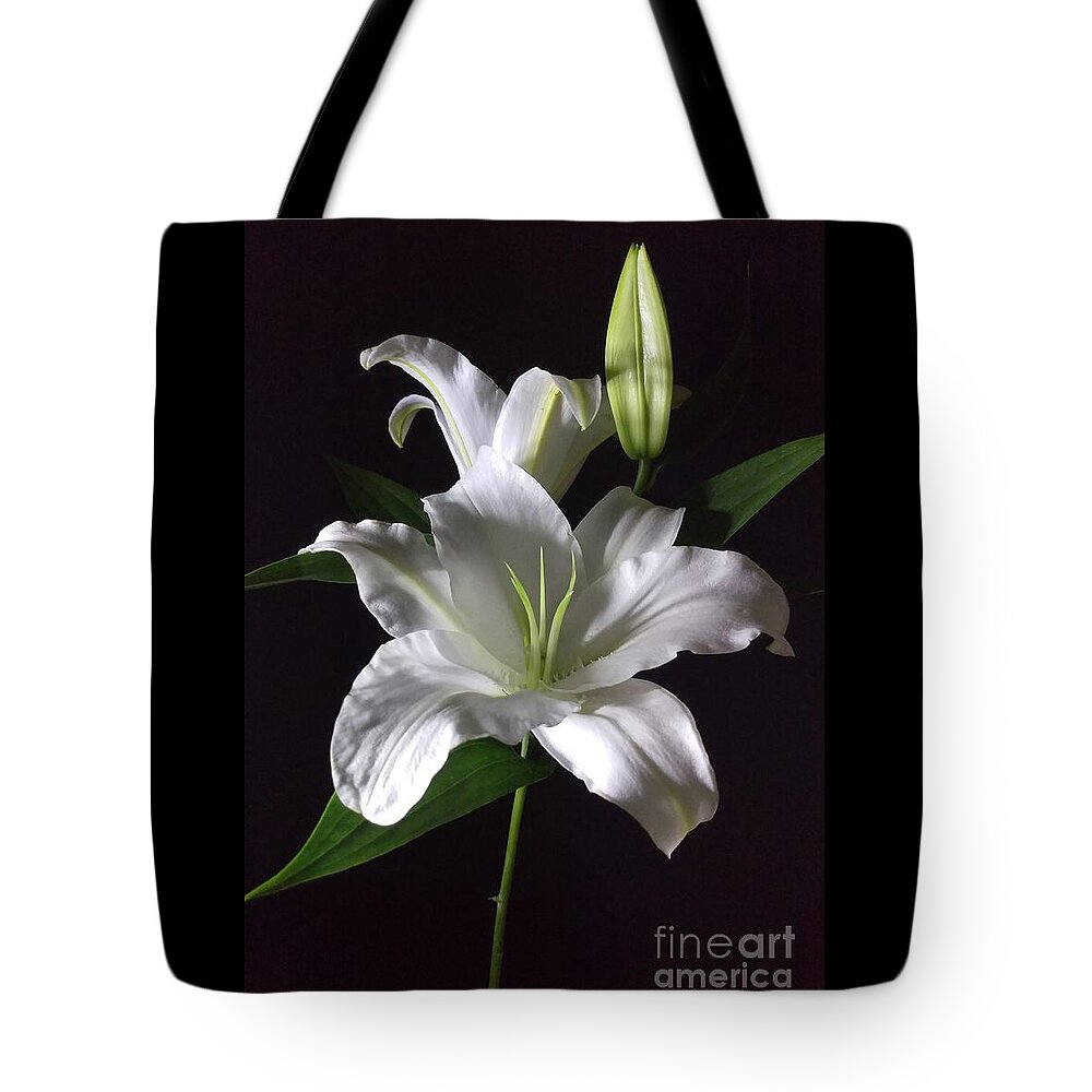 Photography Tote Bag featuring the photograph White Lily by Delynn Addams