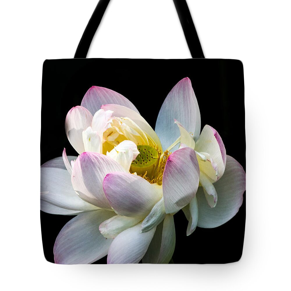 Jay Stockhaus Tote Bag featuring the photograph White Lotus by Jay Stockhaus