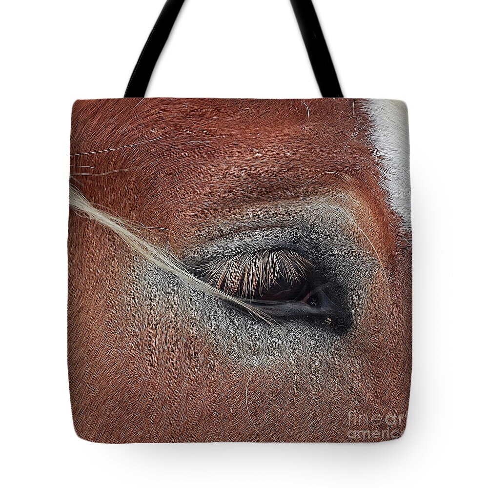 Horse Tote Bag featuring the photograph White Mane's Eye by Toma Caul
