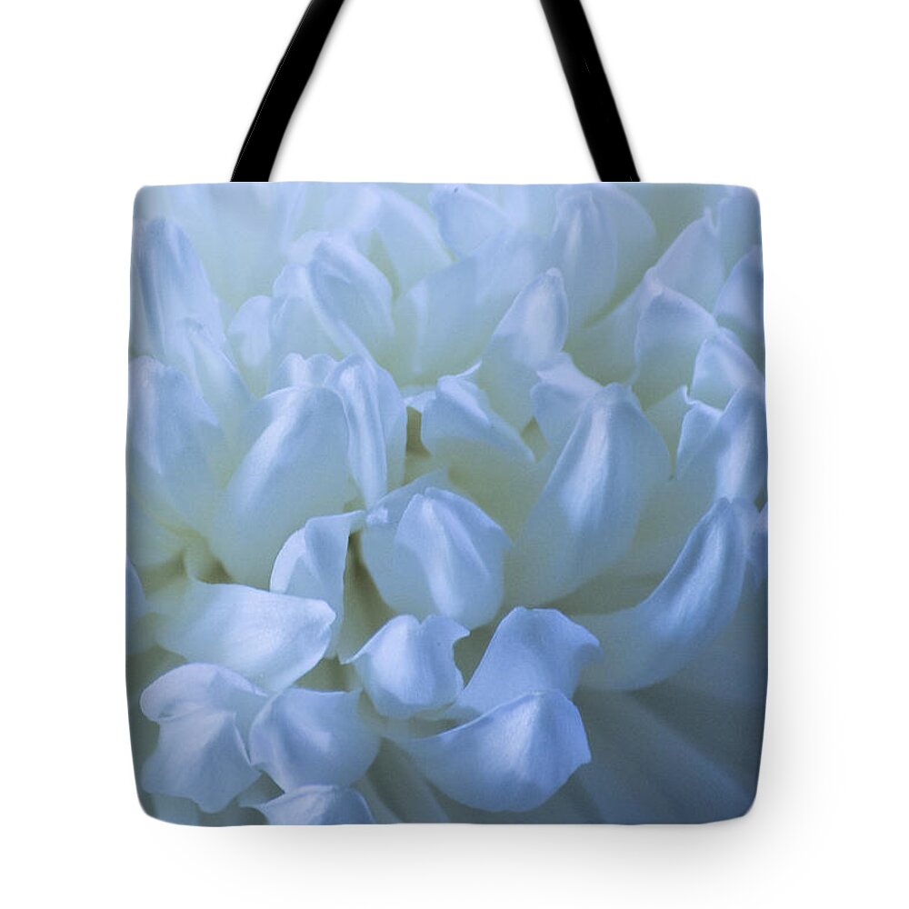 Macro Tote Bag featuring the photograph White Mum by Cheryl Day