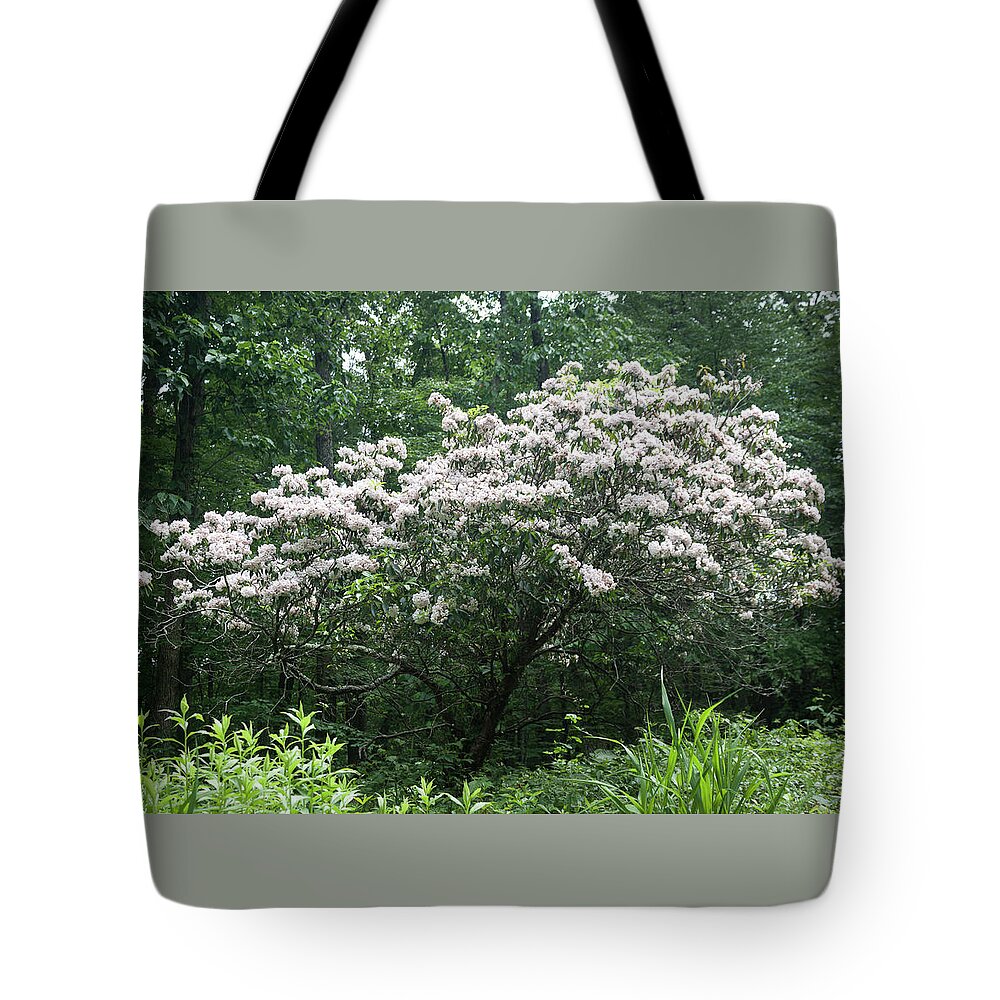 Photograph Tote Bag featuring the photograph White Native Azalea Along the Blue Ridge Parkway by Suzanne Gaff