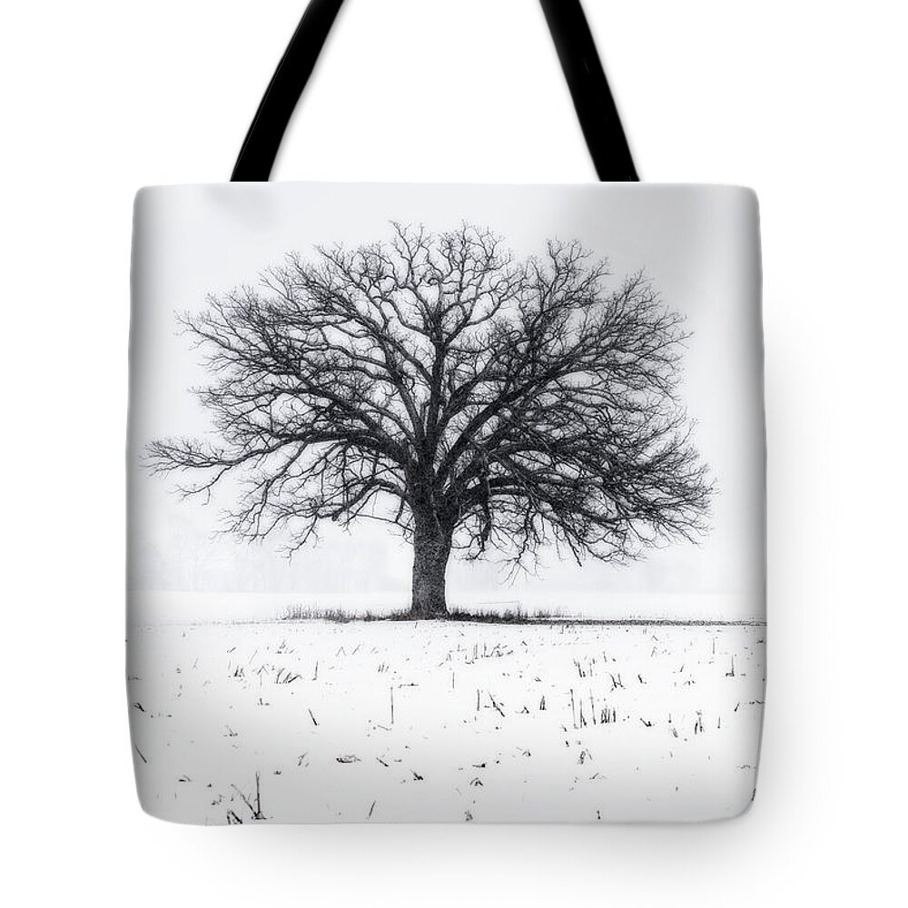 Oak Snow Blizzard Snowstorm Winter White Corn Stubble Solitary Sentinel Tree Horizontal Wi Wisconsin Landscape Winterscape B&w Black And White Tote Bag featuring the photograph Fade to White - An isolated oak in corn stubble field with snowstorm by Peter Herman