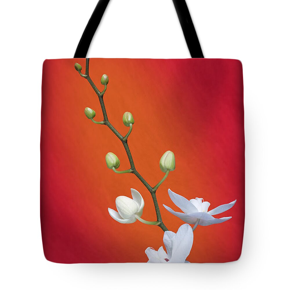Art Tote Bag featuring the photograph White Orchid Buds on Red by Tom Mc Nemar