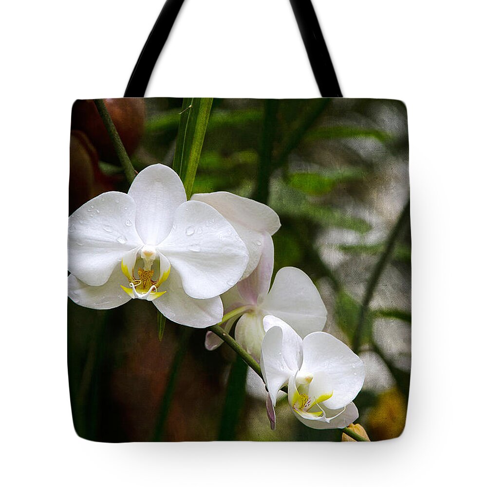Bonnie Follett Tote Bag featuring the photograph White Orchids by Bonnie Follett
