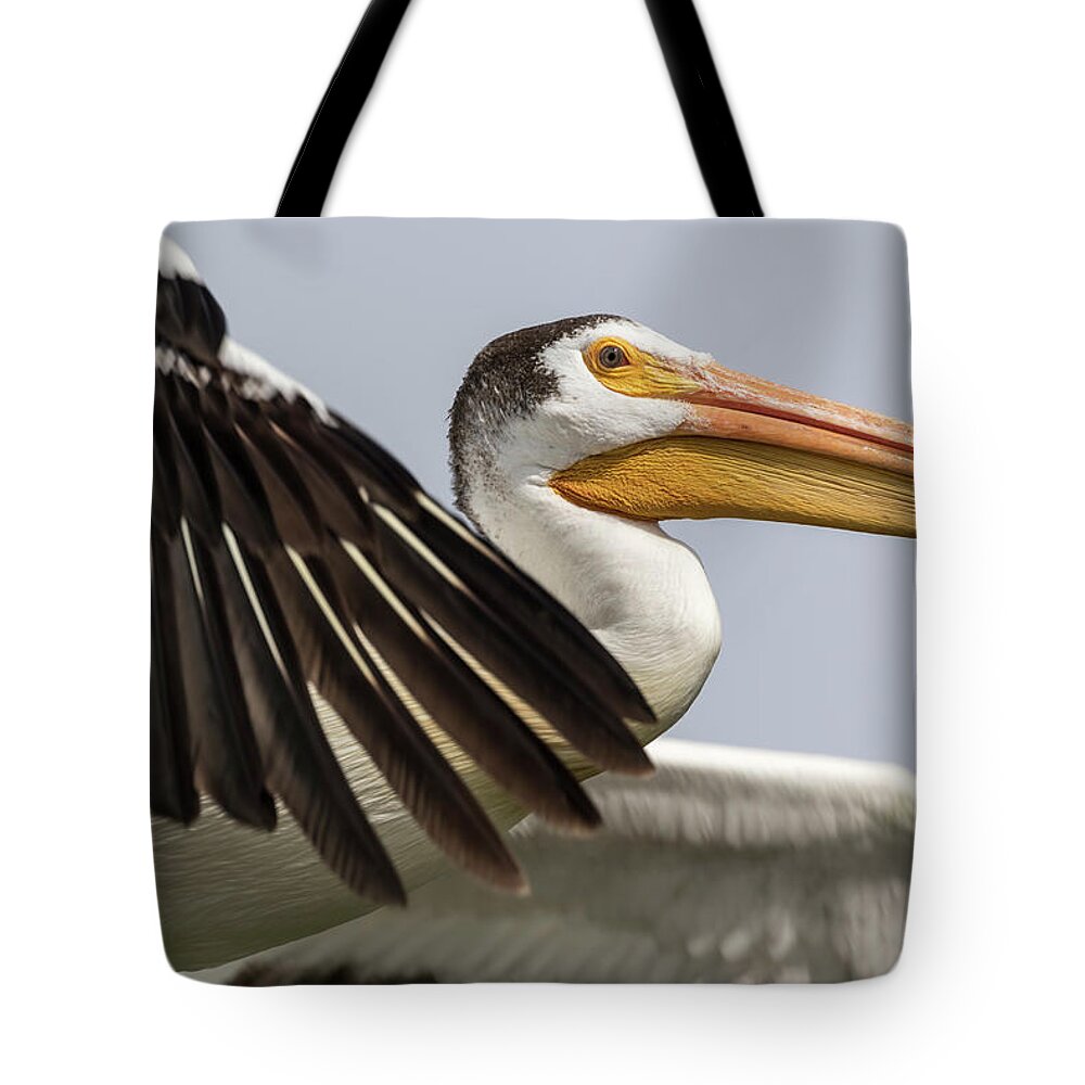 American White Pelican Tote Bag featuring the photograph White Pelican 2016-3 by Thomas Young