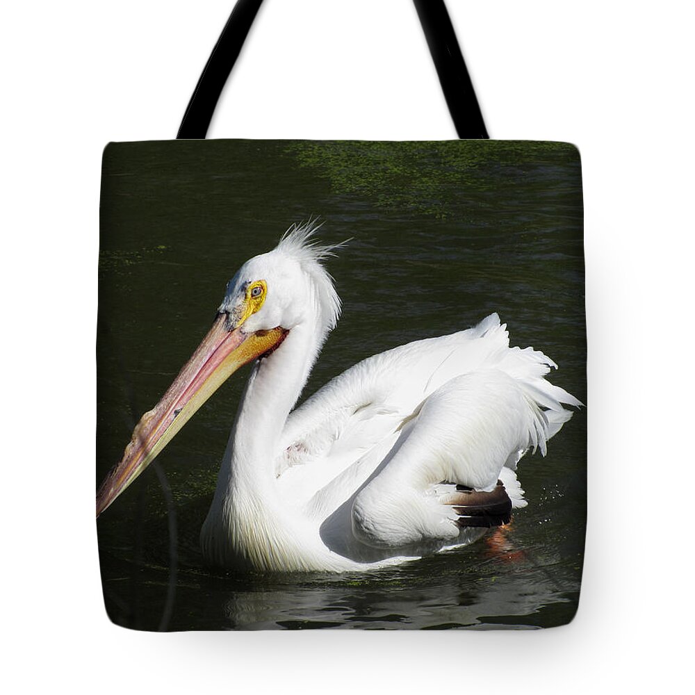 Pelican Tote Bag featuring the photograph White Pelican by George Jones