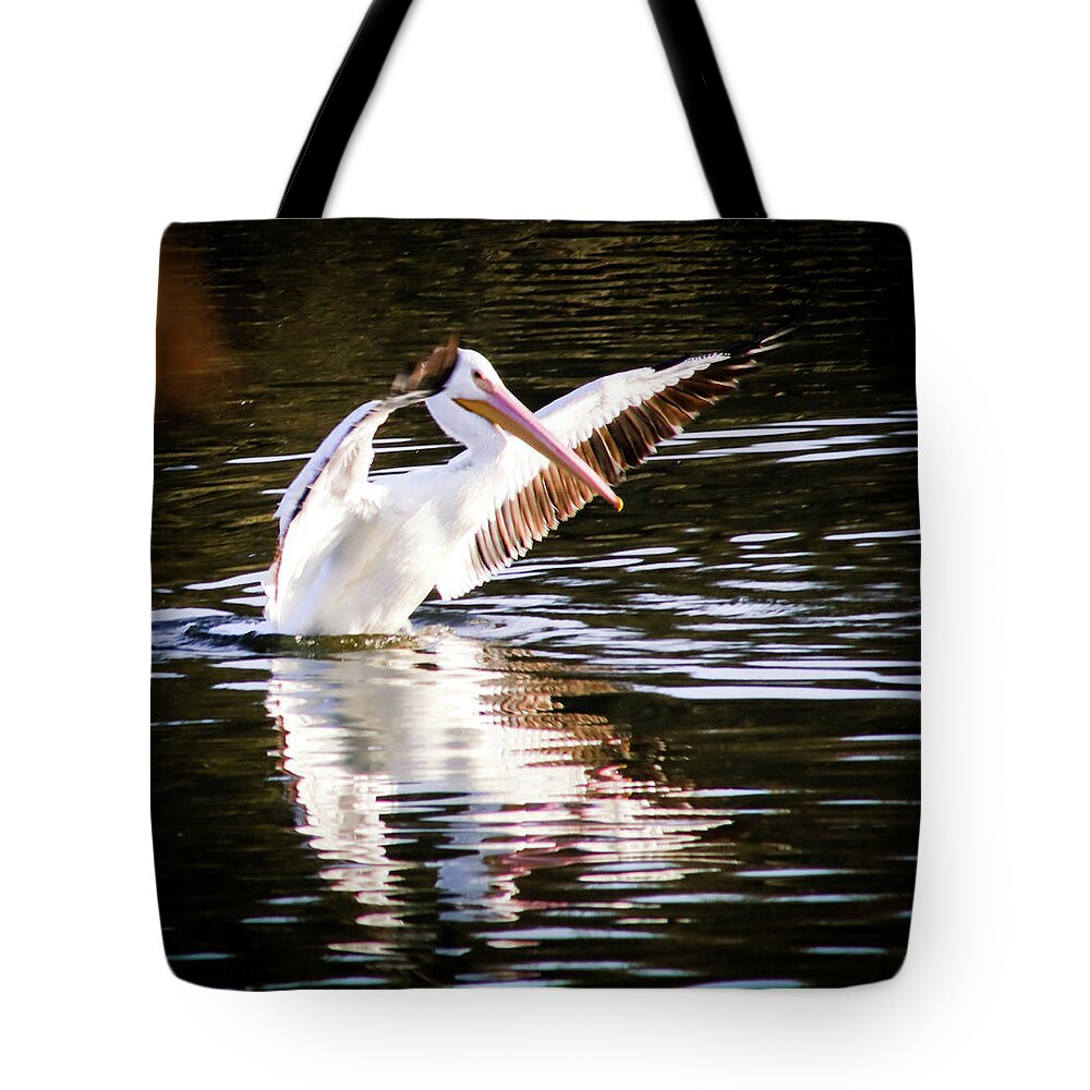 White Pelican Tote Bag featuring the photograph White Pelican by Dr Janine Williams