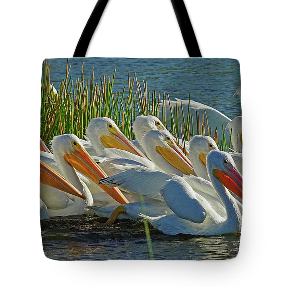 Pelican Tote Bag featuring the photograph White Pelican Sun Party by Larry Nieland