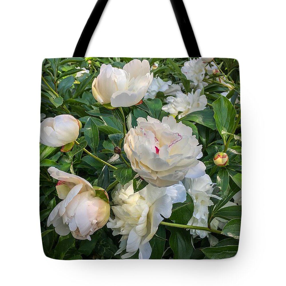 White Peonies Tote Bag featuring the photograph White Peonies in North Carolina by Chris Berrier