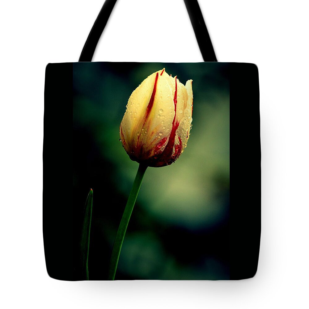 Art Tote Bag featuring the photograph White Pink Tulip by Joan Han