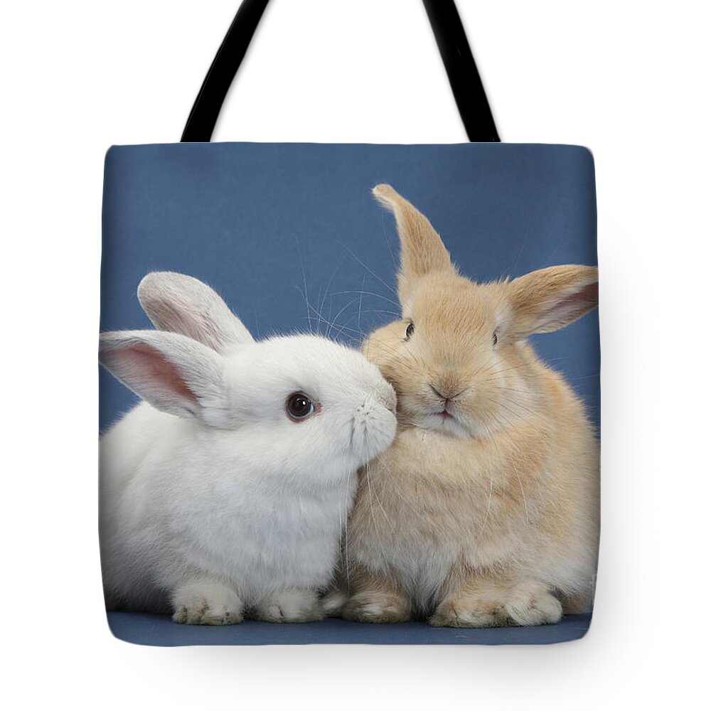 Nature Tote Bag featuring the photograph White Rabbit And Sandy Rabbit by Mark Taylor