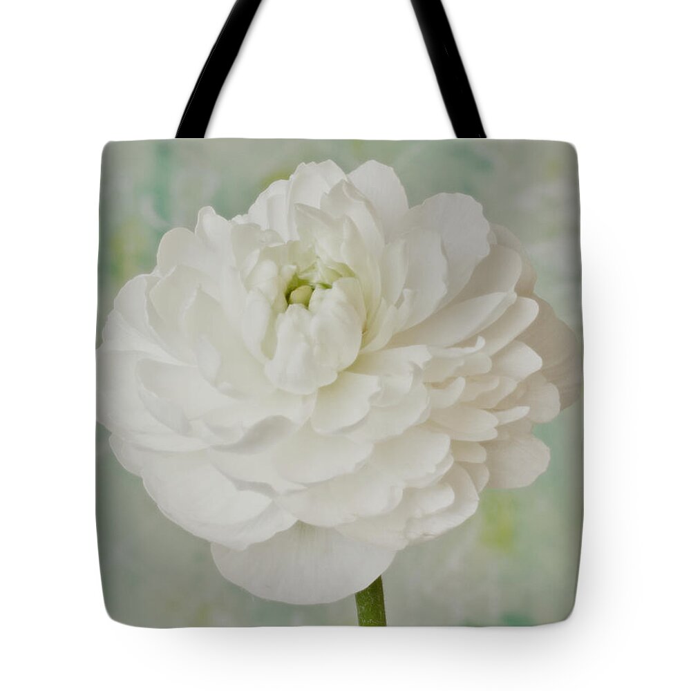 Ranunculus Tote Bag featuring the photograph White Ranunculus by Sandra Foster