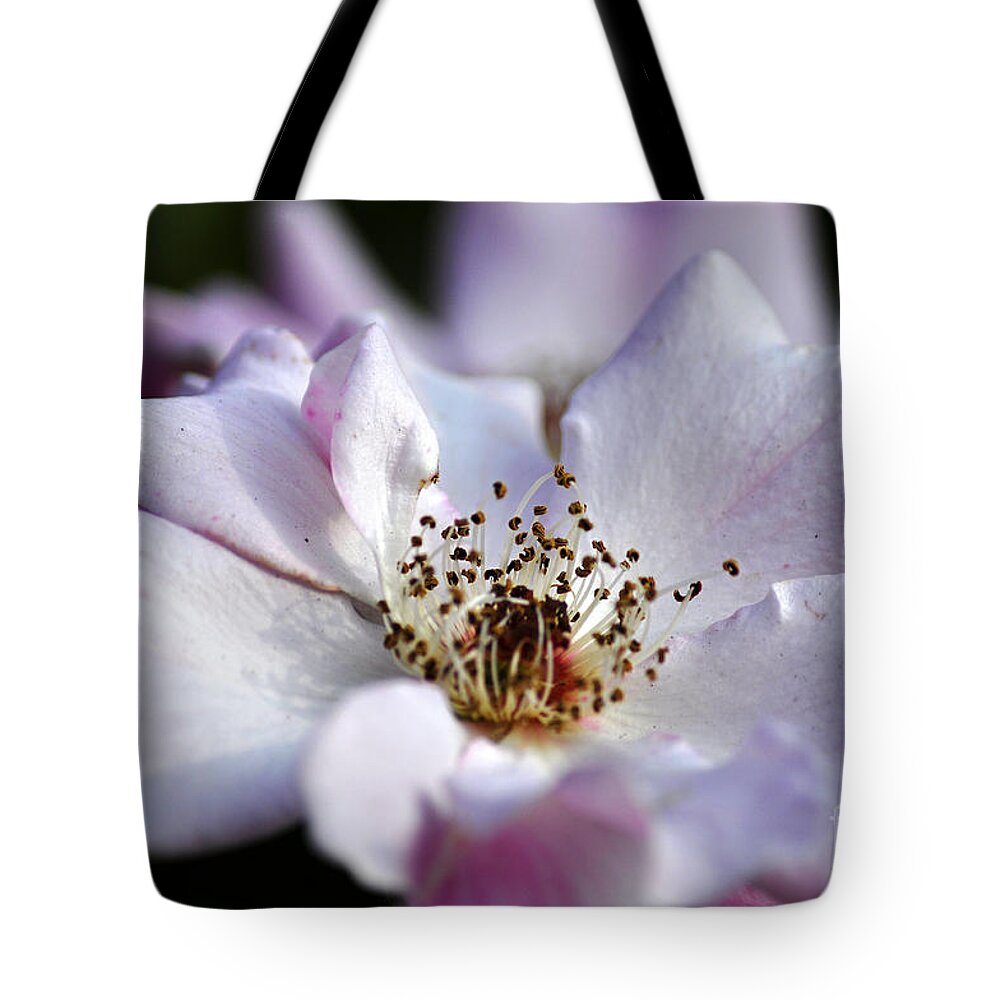 Clay Tote Bag featuring the photograph White Rose by Clayton Bruster