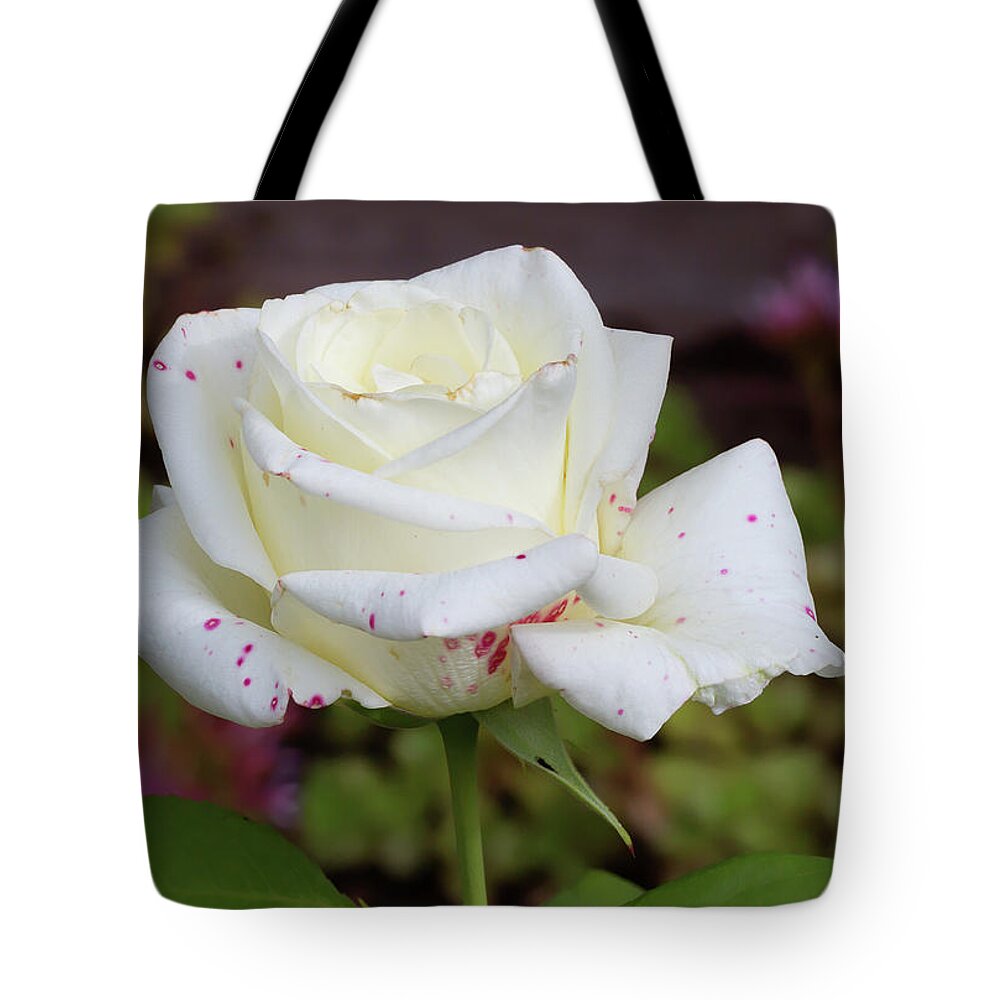 Nature Tote Bag featuring the photograph White rose by Galina Savina