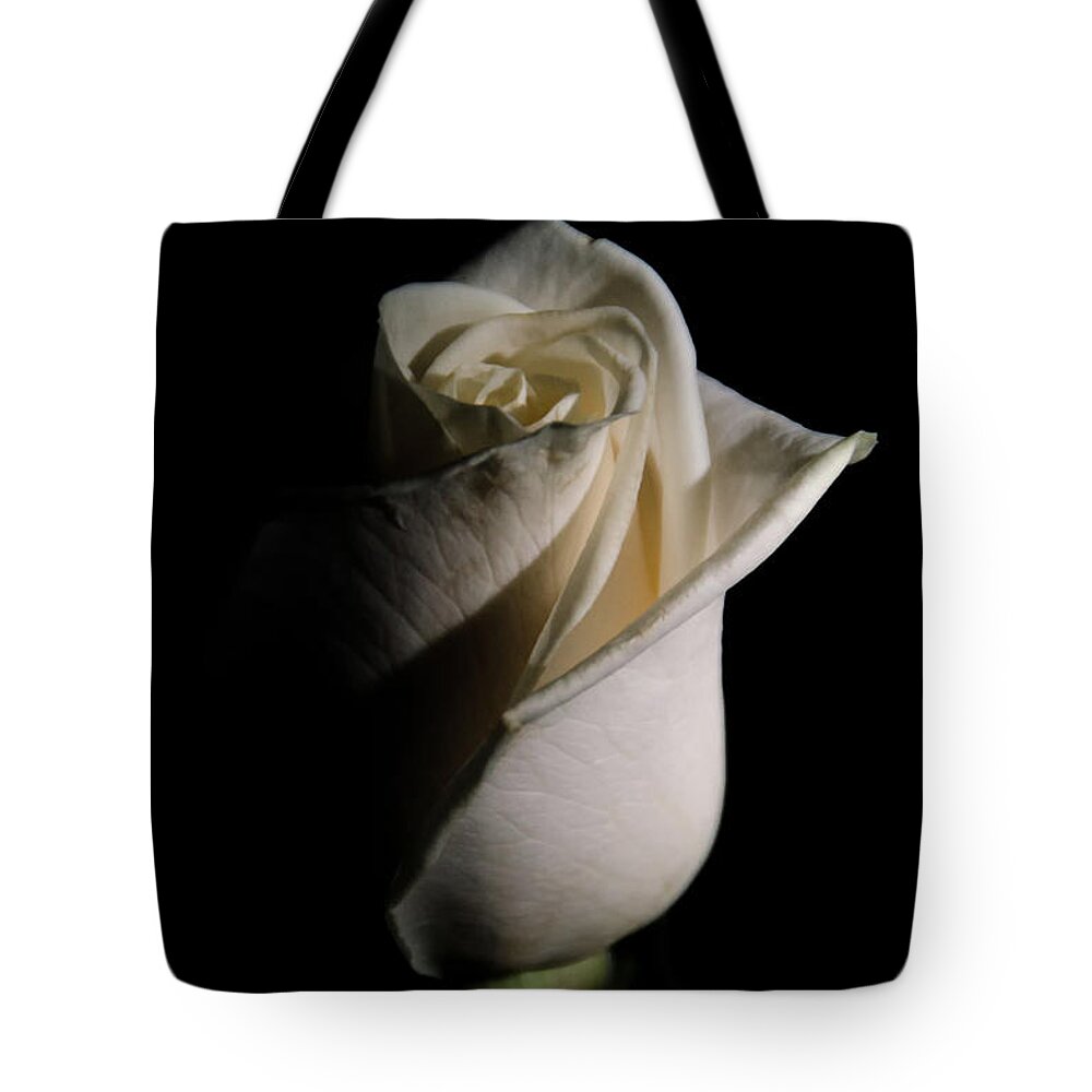 Rose Tote Bag featuring the photograph White Rose Low Key Minimal Botanical / Nature / Floral Photograph by PIPA Fine Art - Simply Solid