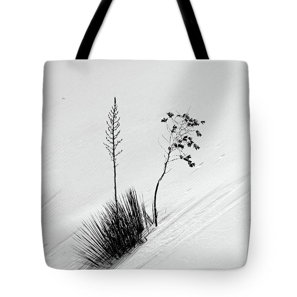 White Sands National Monument Tote Bag featuring the photograph White Sands Yucca 5 by JustJeffAz Photography