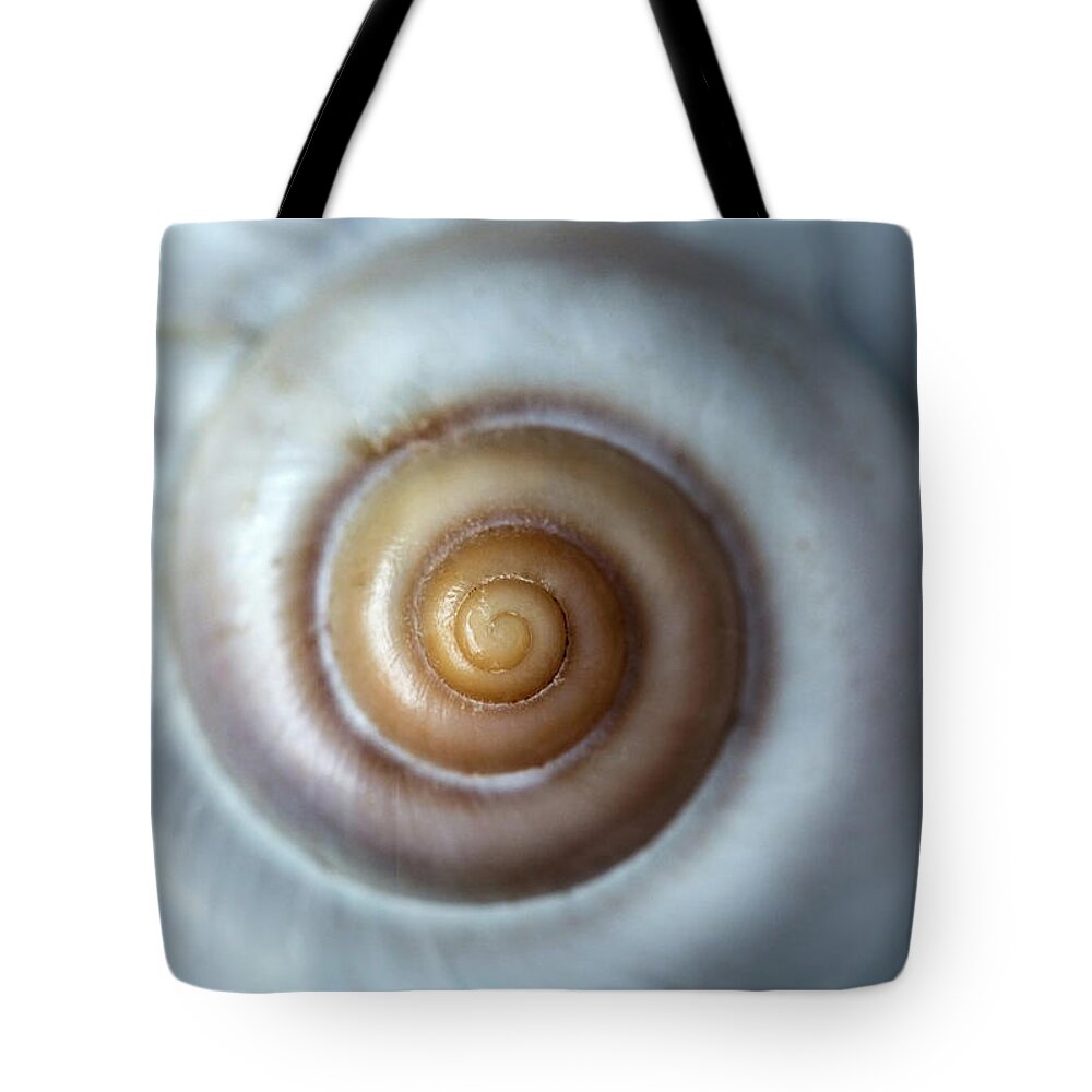 Shell Tote Bag featuring the photograph White snail shell by Jaroslaw Blaminsky