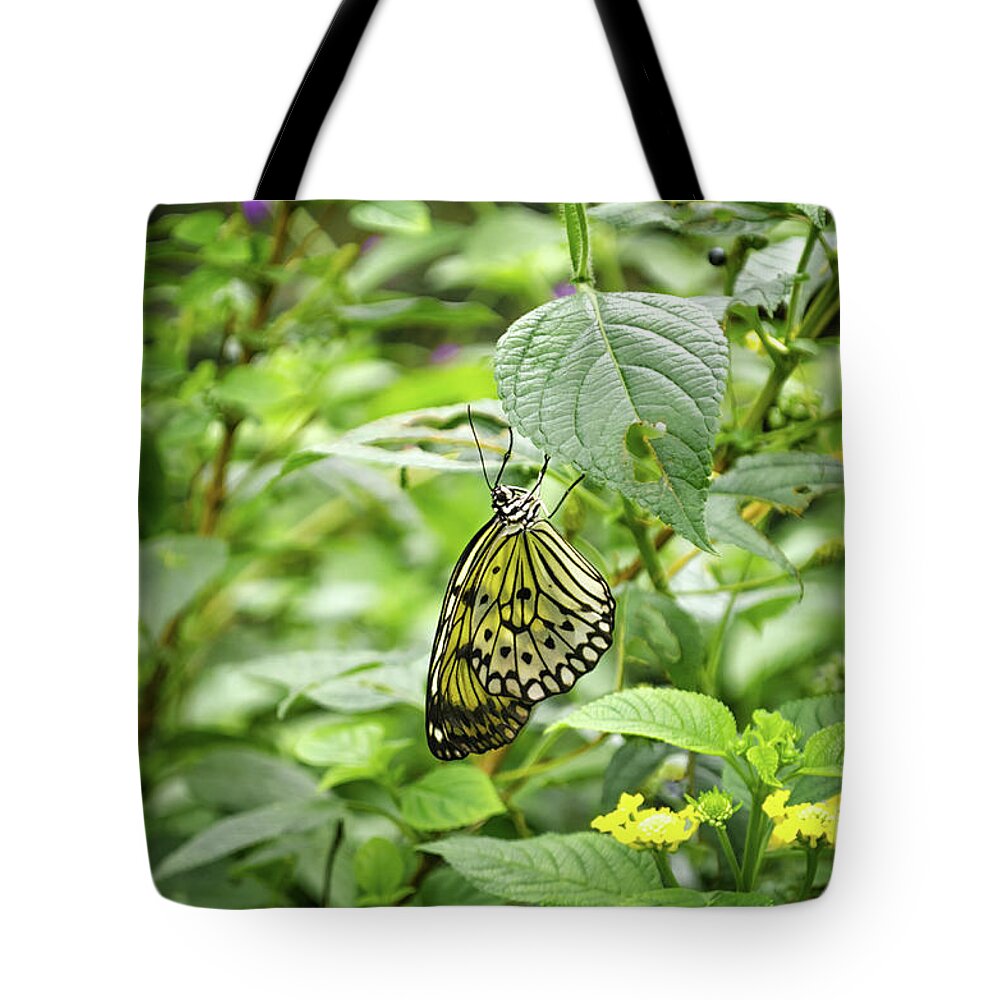 Michelle Meenawong Tote Bag featuring the photograph White Tree Nymph by Michelle Meenawong