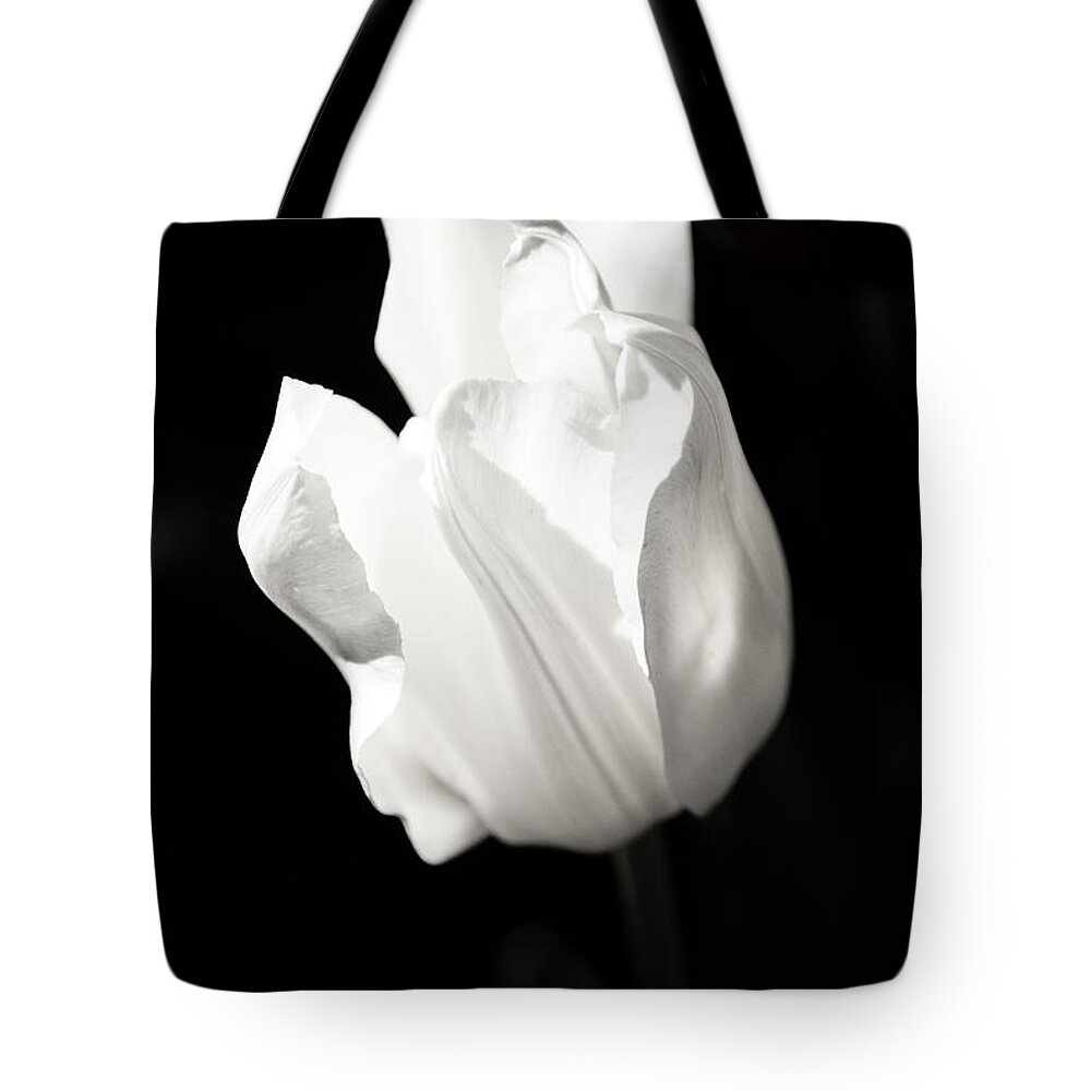Jay Stockhaus Tote Bag featuring the photograph White Tulip by Jay Stockhaus