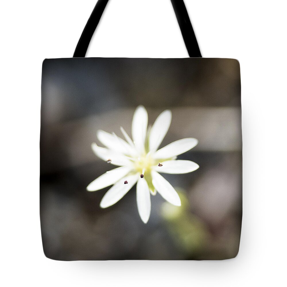 Alaska Tote Bag featuring the photograph White Wildflower by Ian Johnson