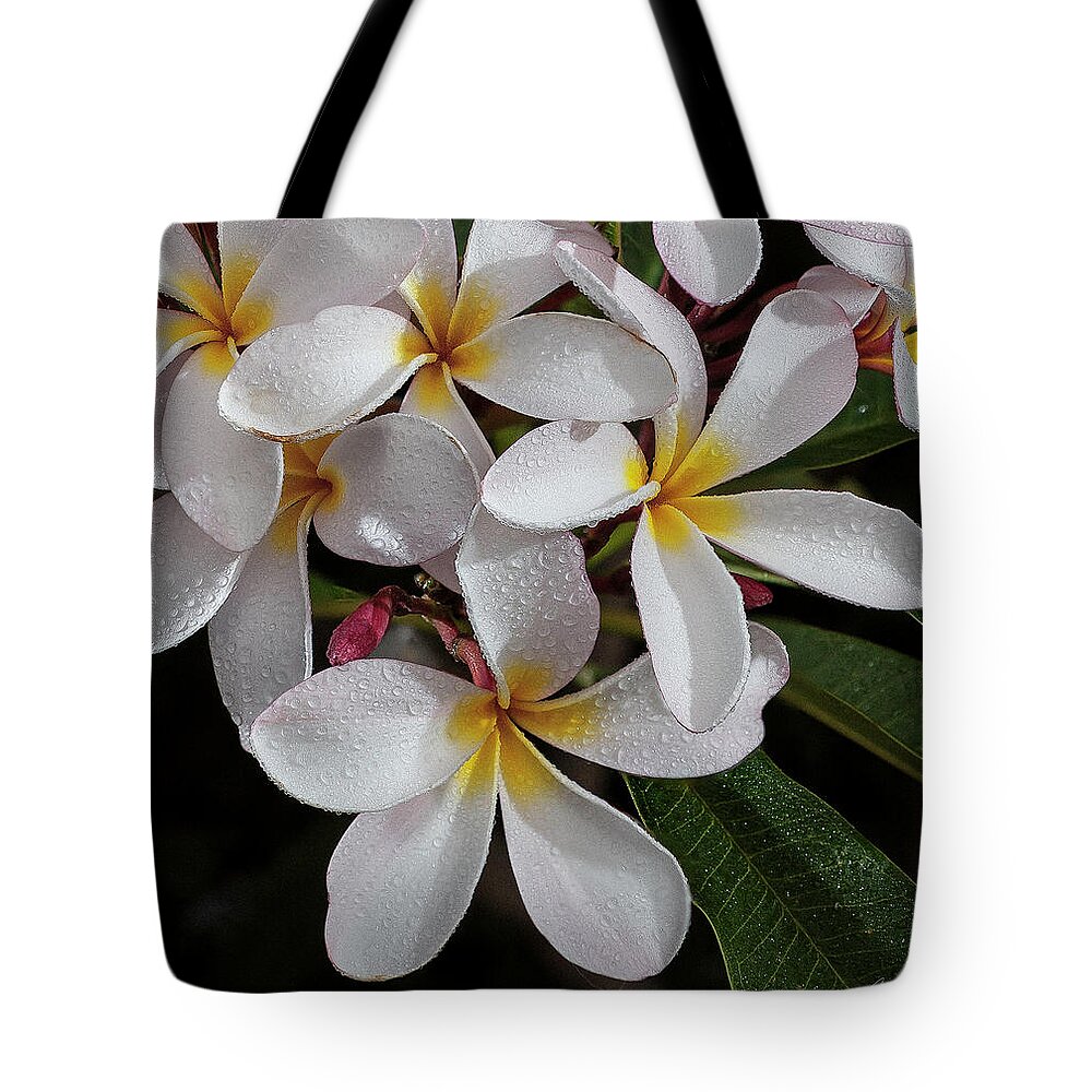 Plumeria Tote Bag featuring the photograph White/Yellow Plumerias in Bloom by John A Rodriguez