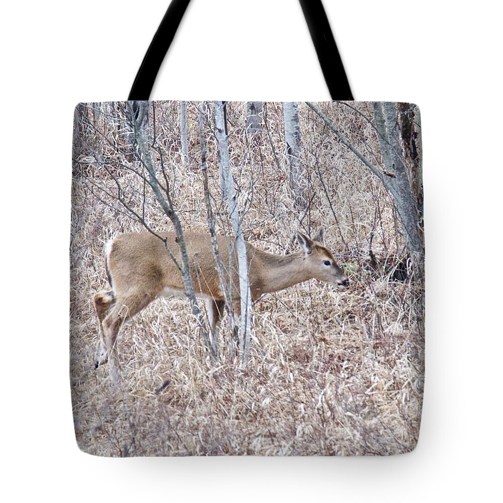 Deer Tote Bag featuring the photograph Whitetail Deer 1171 by Michael Peychich