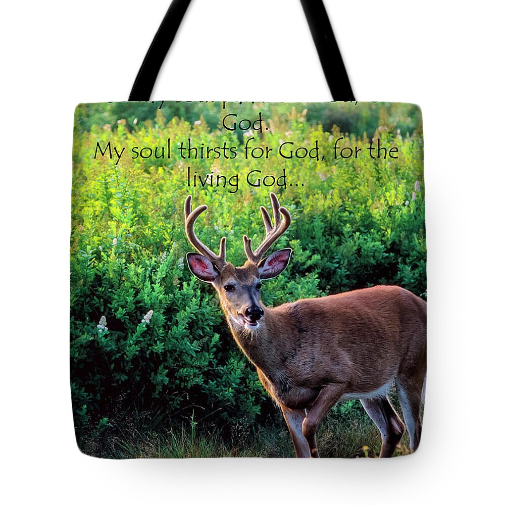 Whitetail Deer Tote Bag featuring the photograph Whitetail Deer Panting by Thomas R Fletcher