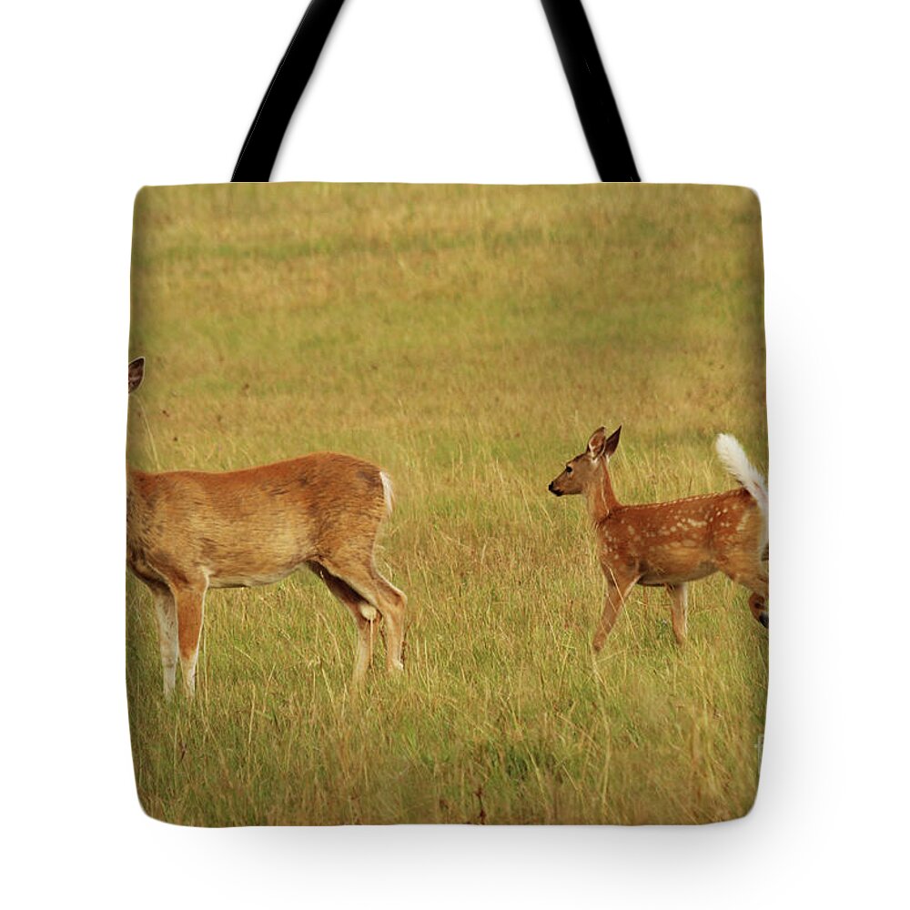 Doe Tote Bag featuring the photograph Whitetail Doe and Fawn by Alyce Taylor