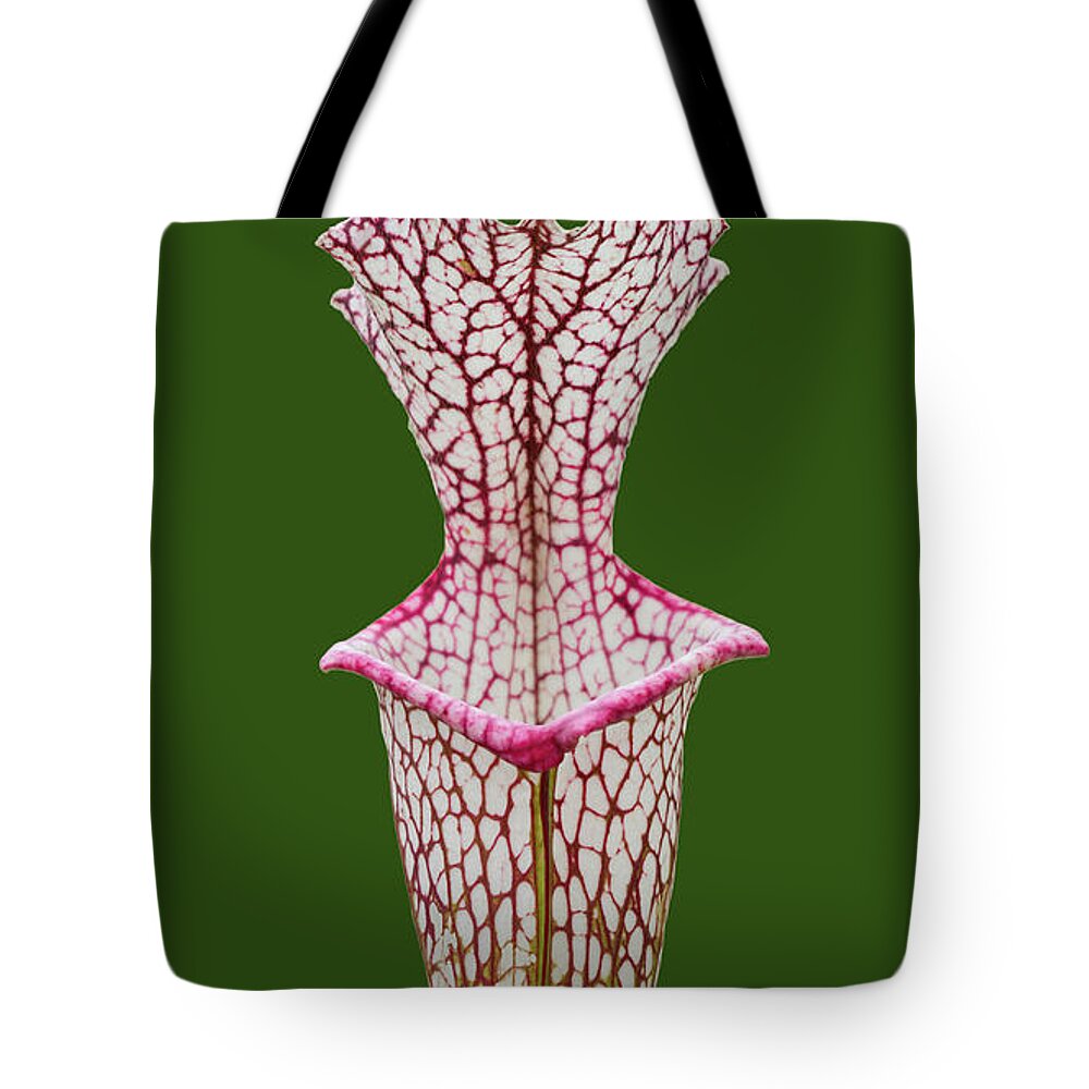 Pitcherplant Tote Bag featuring the photograph Whitetop Pitcherplant on Green by Paul Rebmann