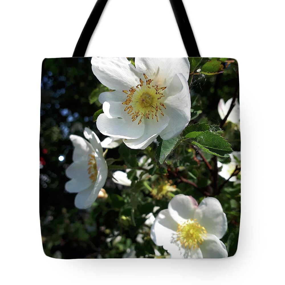 White Tote Bag featuring the photograph White, Wild and Wonderful by Brenda Kean