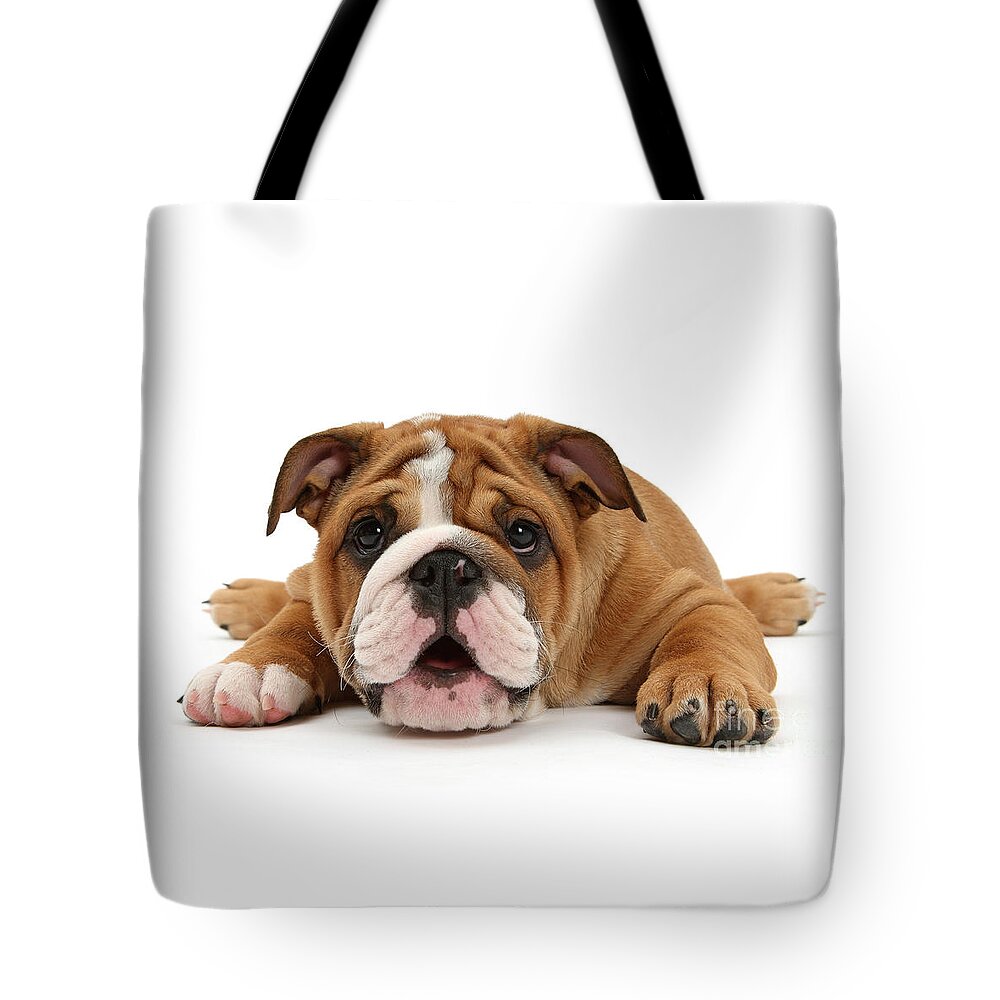 Bulldog Tote Bag featuring the photograph Who loves ya Baby? by Warren Photographic