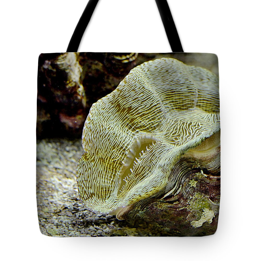 Sea Tote Bag featuring the digital art Who Will Be Next by Leo Symon