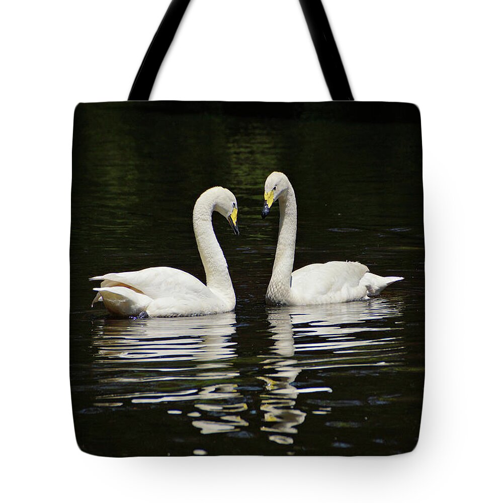 Whooper Swan Tote Bag featuring the photograph Whooper Swans by Sandy Keeton